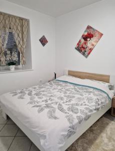 Apartma Olivin 
