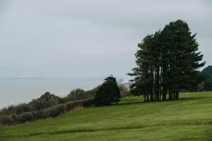 Number 3 Tynnings at The Old Dairy Clevedon