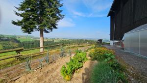 Room in a Farm Residence Austria - Shared bathroom