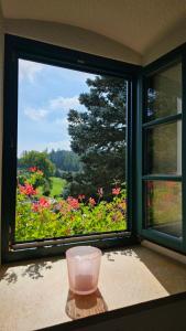 Room in a Farm Residence Austria - Shared bathroom