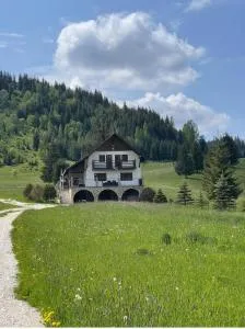 Vila Ancuța - Panaci