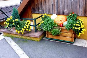 Maisons de vacances Gite Schlitteur Et Sapiniere : photos des chambres