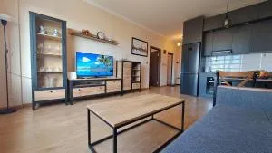 Cosy modern premium apartment in UB - Olon Shandanii Jisa