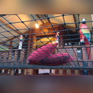 Villa Emboscada Glamping