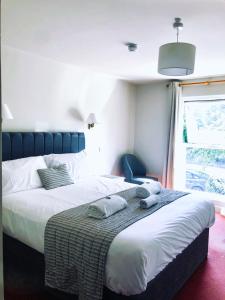 Double Room room in The Vines Inn