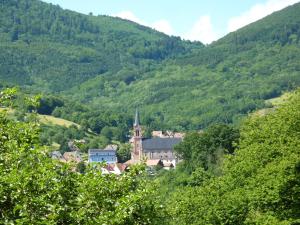 Maisons de vacances Gite Schlitteur Et Sapiniere : photos des chambres