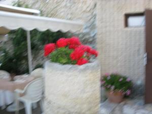 Hotels Logis Hotel Restaurant Les Geraniums : photos des chambres