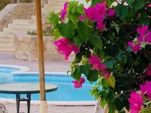 Makadi Heights lovely flat