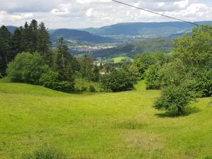 Maison rénovée confortable, superbe vue, animaux admis - FR-1-589-161
