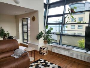 Panoramic Two-bedroom Penthouse
