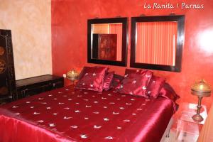 La Ranita uno Parnas