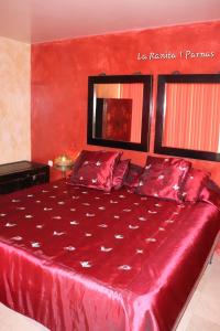 La Ranita uno Parnas