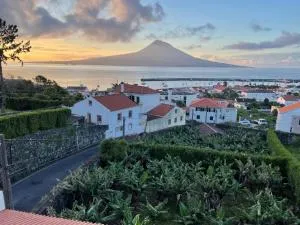 Quinta Peixinho RC DT - Conceição