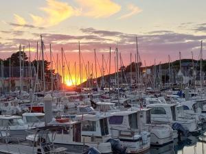 Villas Maison cosy Val Andre avec SPA : Villa 3 Chambres