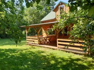 ZIELONA PRZYSTAŃ - Parszczyce