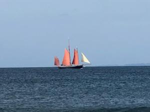 Maisons de vacances La musique des Vacances : photos des chambres
