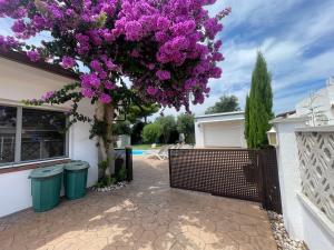 Casa Requesens, freiligendes Ferienhaus, komplett erschlossen