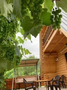 K&M Cottage - Sadgeri