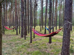 Agroturystyka Nad Jeziorem Klocek w Borach Tucholskich