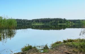 1 Bedroom Pet Friendly Home In Rekowo