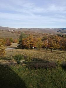 Zlatne Rudine-Zlatibor