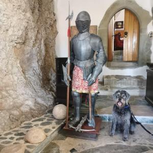 Burg Hermannstein - Monks Room
