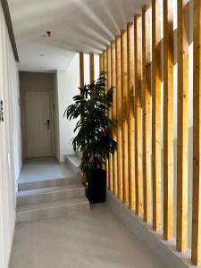 Lunar Hotel Modern Boutique