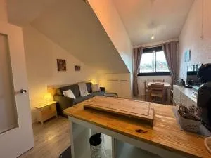 Le petit Marou - 阿拉纽埃