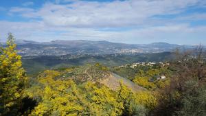 Maisons de vacances Gite sur les collines de mandelieu : photos des chambres