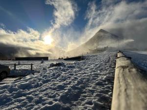 Appartements Le petit Marou : photos des chambres