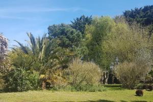 Maisons de vacances Grande maison de famille - Le Petit Pontebart : photos des chambres