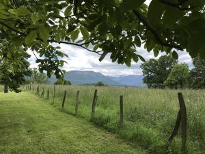 Maisons de vacances Bonnevigne : photos des chambres