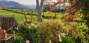 Maisons de vacances Bonnevigne : photos des chambres