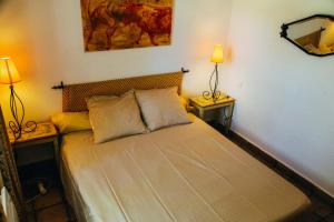 Vigne fere belgentier