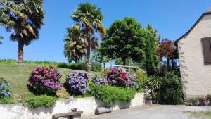 Maisons de vacances Marty : photos des chambres