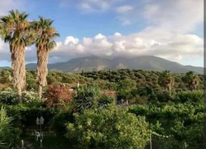 35sm Studio in Rachais Kiparissia sea View