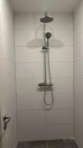 Nordic Central Villa