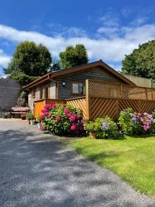 Swansea Log Cabin - Cilybebyll