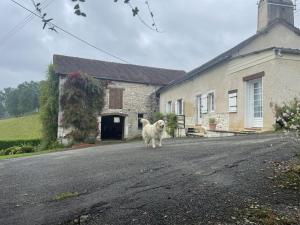 Maisons de vacances Labourdette : photos des chambres