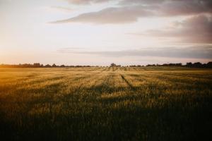 Gite au calme leclaircie