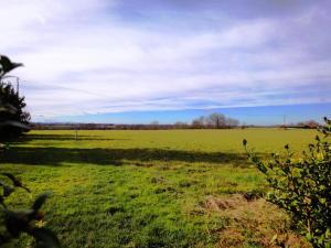 Maisons de vacances Chez soule : photos des chambres