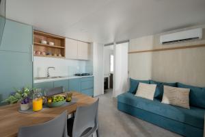 Taber Pašman – Mobile Homes