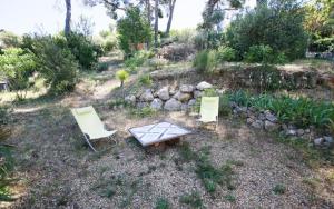 La pinede penchee 5km des plages