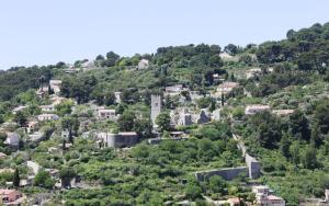 La pinede penchee 5km des plages