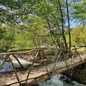 Doğanın Kalbinde Doğallıkla Buluşma Noktası - Saadet