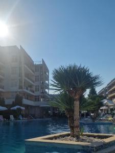Grand Kamelia