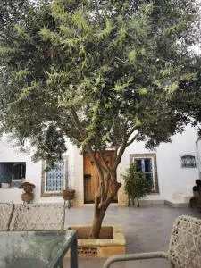 Dar arbi dans un village de pêcheur - Tazarka