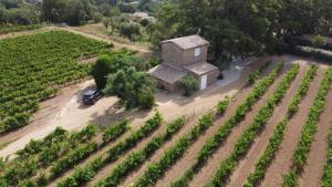 Maisons de vacances Le cabanon du capelan : photos des chambres