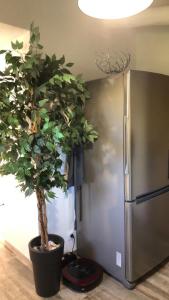 Maisons de vacances Le cabanon du capelan : photos des chambres