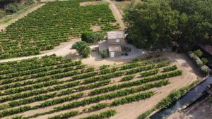 Maisons de vacances Le cabanon du capelan : photos des chambres